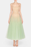 Bitzer Mint Ombre Lace Jacquard Midi Dress