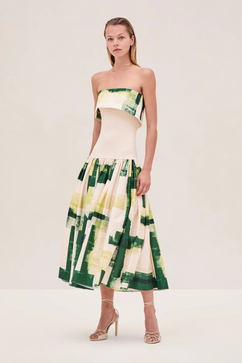 Oil Painting Print Midi Dress