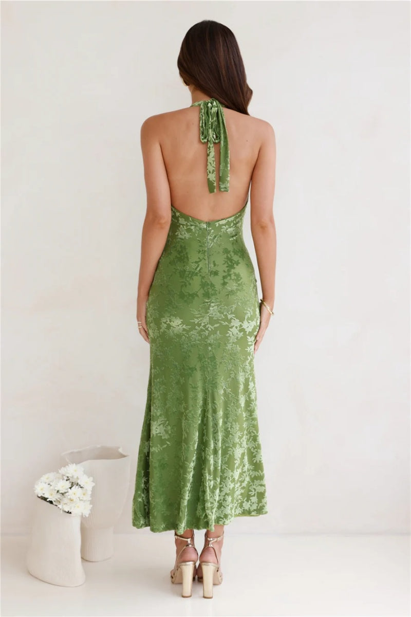 Backless Devor¨¦ Velvet Maxi Dress